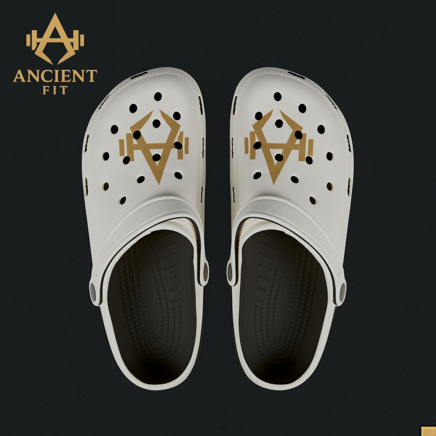 Ancient Fit Crocs